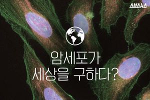 60년 동안 살아있었던 암덩어리, 세상을 구하다?