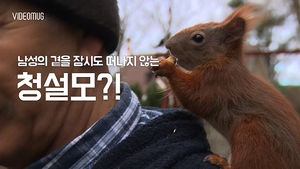 [비디오머그] 청설모와 친구가 된 사연은?