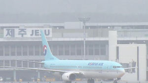 난기류로 결항한 제주공항 항공기 정상 운항