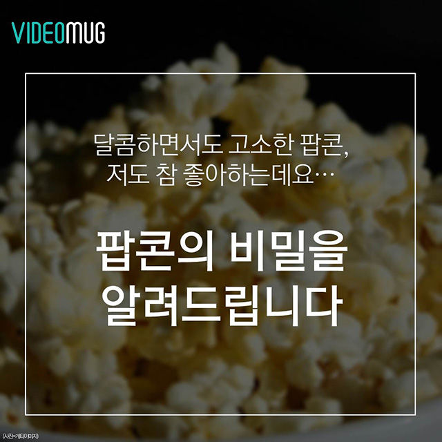 메인이미지  2 : 