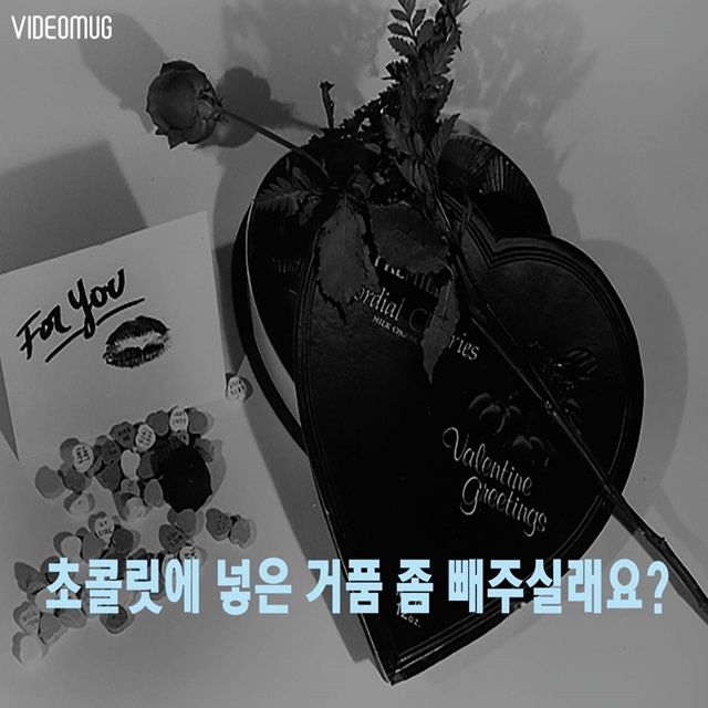 메인이미지  1 : 