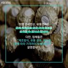 섬네일이미지  5: