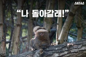 '손가락 크기' 원숭이가 554만 원?&hellip;中 부유층 과시용