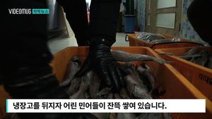 [자막뉴스] 냉장고 뒤지니 '거짓말 들통'&hellip;민어 씨 마른다