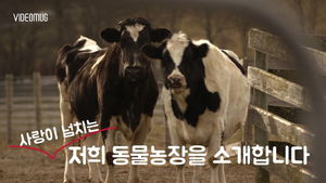 [비디오머그] '어서와&sim; 처음이지?'&hellip;'사랑' 배우는 행복한 동물농장