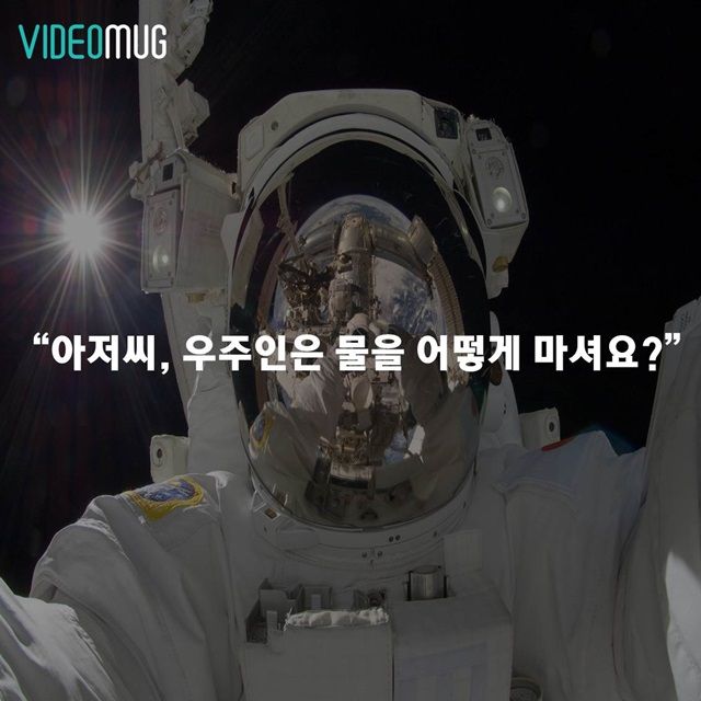 메인이미지  6 : 