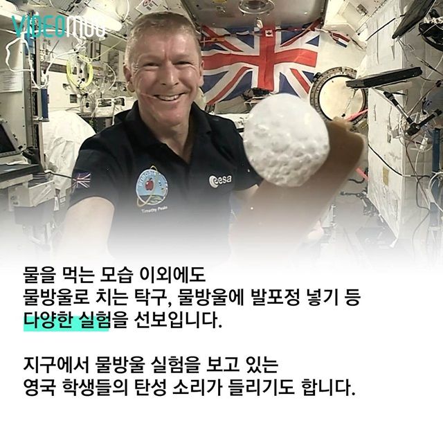 메인이미지  9 : 