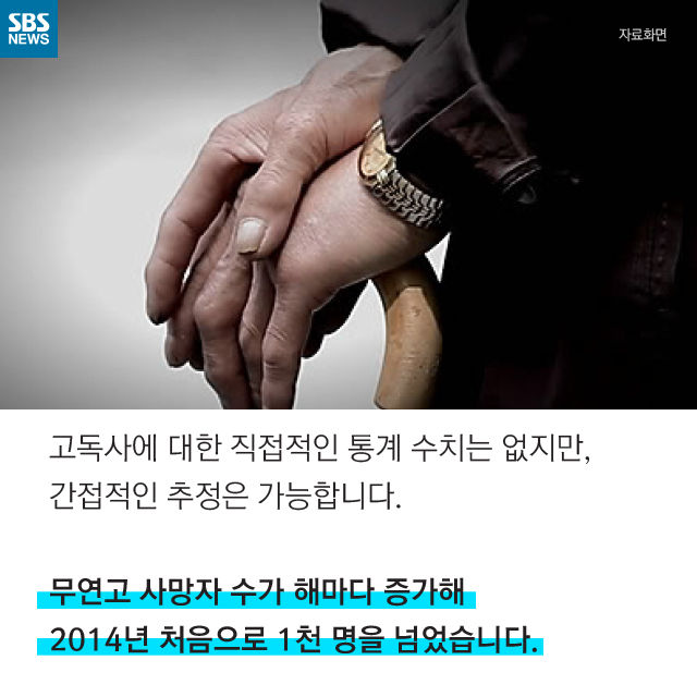 메인이미지  7 : 