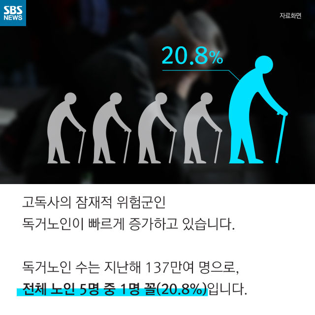 메인이미지  8 : 