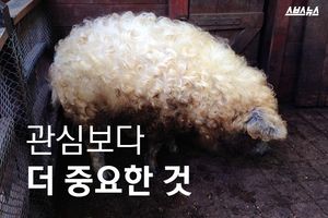 관심보다 더 중요한 것