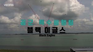[비디오머그] 하늘을 수놓은 태극 문양&hellip;공군 '블랙이글스’의 화려한 곡예비행