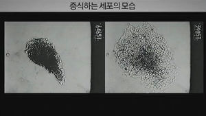 '위안부는 픽션' 막말하는 日 패널에&hellip;"때려도 돼요?"