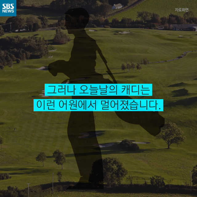 메인이미지  5 : 
