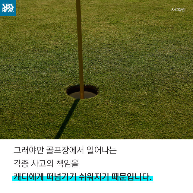 메인이미지  14 : 