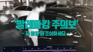 [비디오머그] "발레파킹 해줄게" 기사인 척하며 차량 턴 50대 절도범