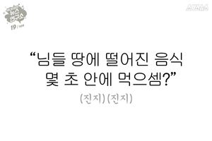 땅에 떨어진 음식 몇초 안에 먹어야 할까?