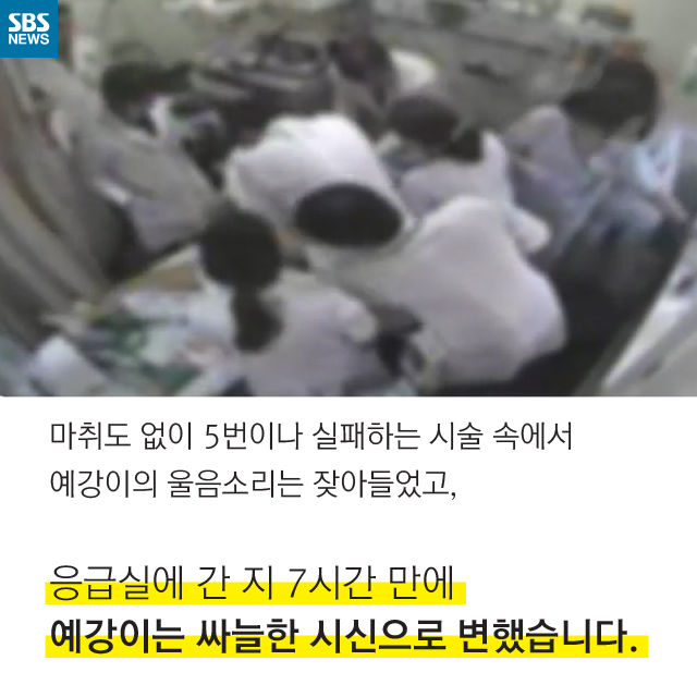 메인이미지  8 : 