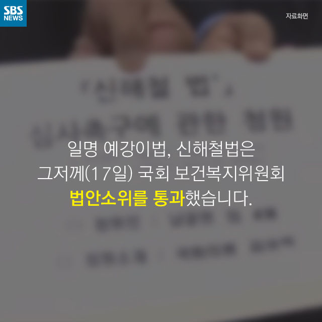 메인이미지  14 : 