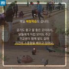 섬네일이미지  5: