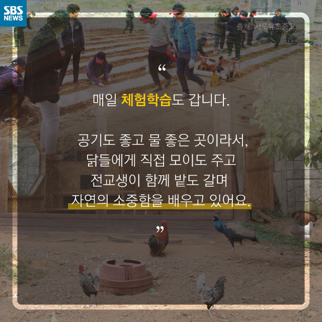 메인이미지  5 : 