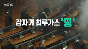 [비디오머그] 야당이 터뜨린 최루가스&hellip;아수라장 된 코소보 의회