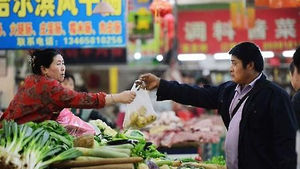 중국 비닐봉지 사용제한 조치로 7년간 사용량 140만t 줄어