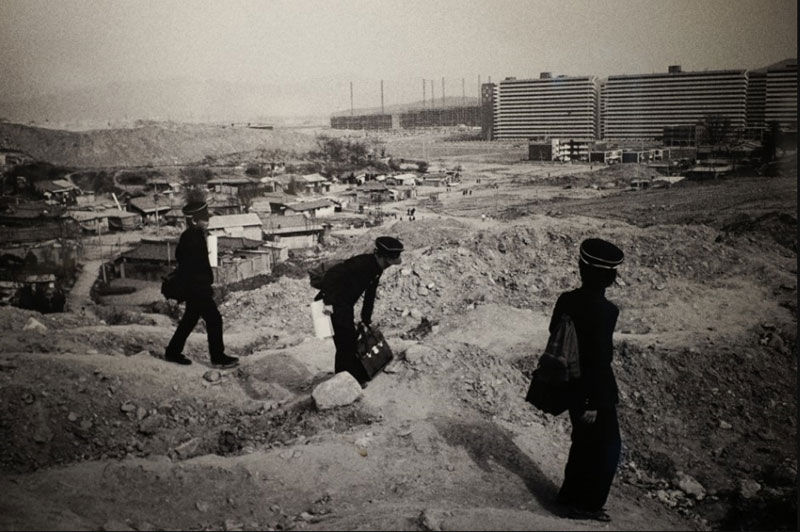 '은마아파트와 중학생' 권태균, 1982