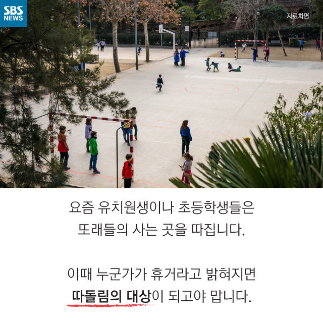 메인이미지  8 : 