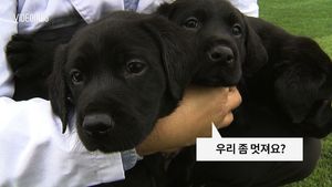 [비디오머그] 체세포 복제견 '래브라도 리트리버'&hellip;특수목적견 세대교체 될까?