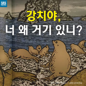 [카드뉴스] '독도 강치'로 왜곡 역사 홍보&hellip;日의 만행