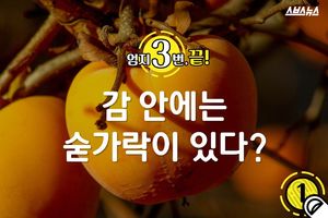 감 안에는 숟가락이 있다?&hellip;드러난 정체