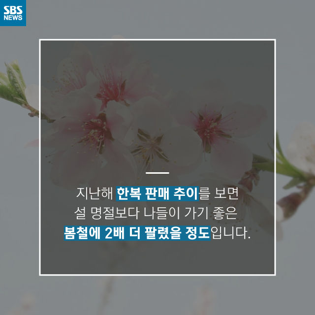 메인이미지  12 : 