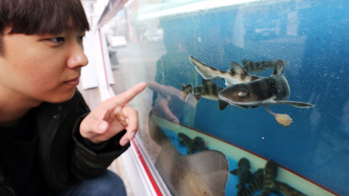 메인이미지  3 : 