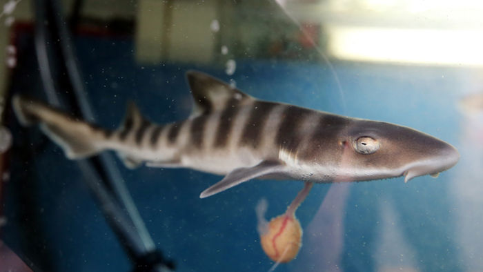 메인이미지  2 : 