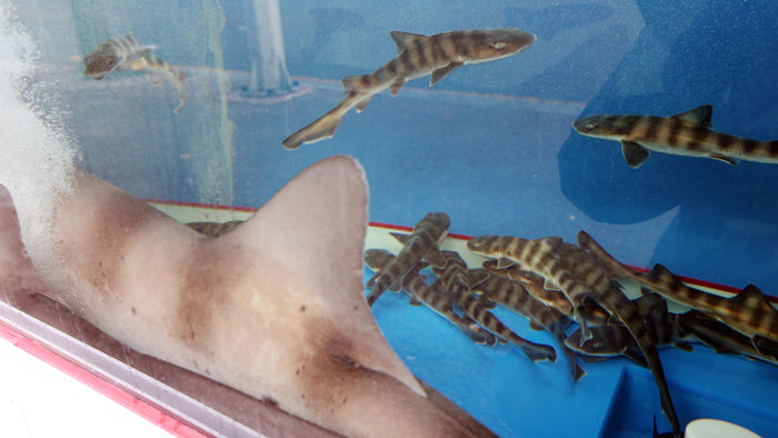 메인이미지  1 : 