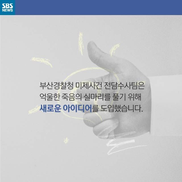 메인이미지  11 : 