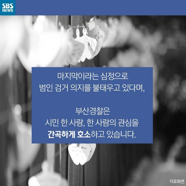 메인이미지  15 : 