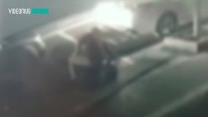 [자막뉴스] 아내와 싸우다 반려견 던진 남편&hellip;당시 영상 '잔혹'