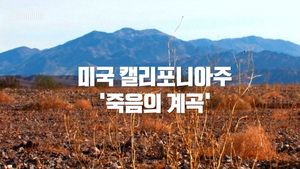 [비디오머그] 꽃밭으로 변한 '죽음의 계곡'&hellip;씁쓸한 이유
