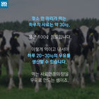 섬네일이미지  2: