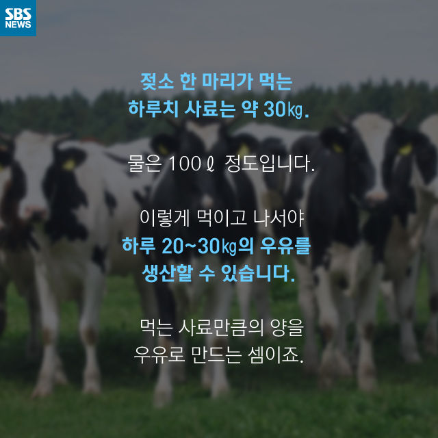 메인이미지  2 : 