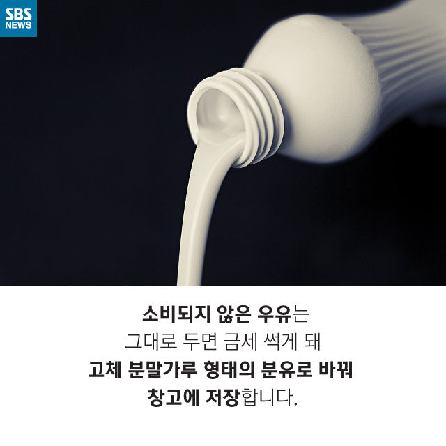 메인이미지  5 : 
