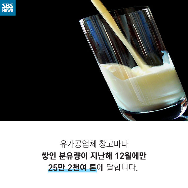 메인이미지  6 : 