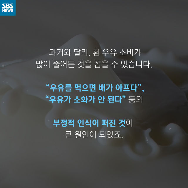 메인이미지  8 : 