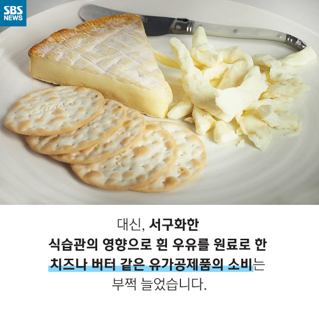 메인이미지  9 : 