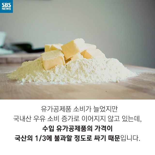 메인이미지  10 : 