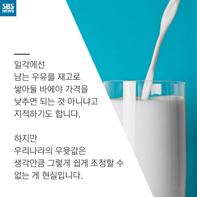 메인이미지  11 : 