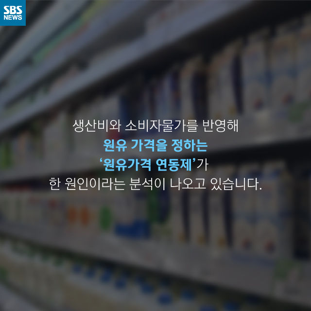 메인이미지  12 : 