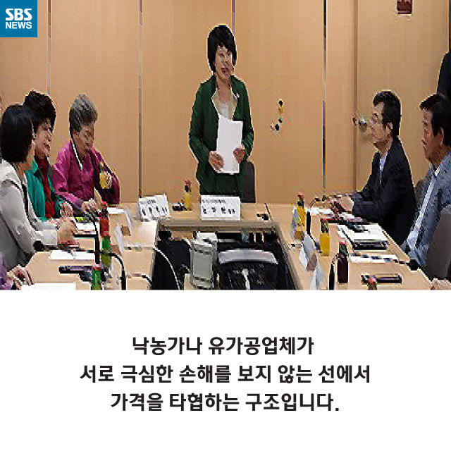 메인이미지  14 : 
