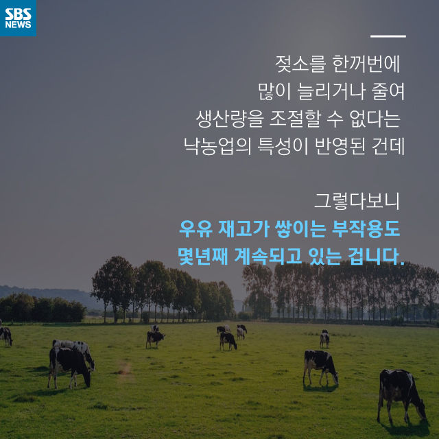 메인이미지  15 : 
